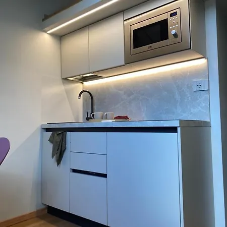 Vittorio Veneto Porta Susa Short Rent * Turin